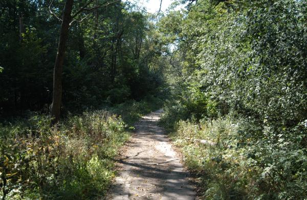 Path: Bachelor's Grove Cemetery