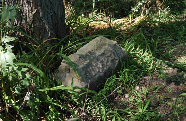 Fullerton: Bachelor's Grove Cemetery