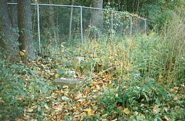 Coping: Bachelor's Grove Cemetery