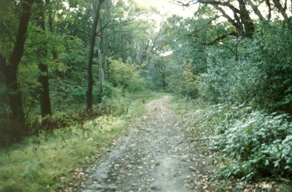 path: Bachelor's Grove Cemetery