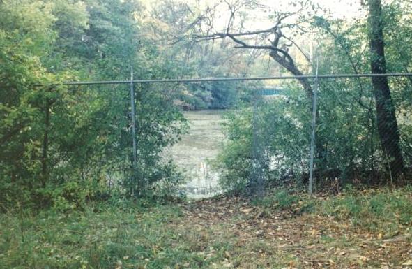 pond: Bachelor's Grove Cemetery