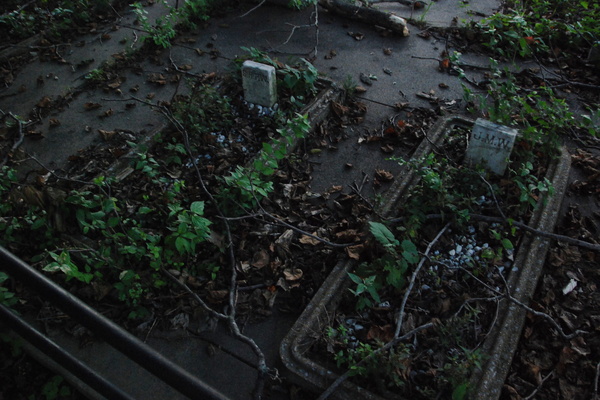 Evangelical St. Marcus Cemetery: Wilhelms graves