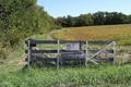 Jefferson Cemetery in Adams County, Illinois