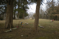 Spring Valley Cemetery in Adams County, Illinois