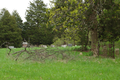 Durham Cemetery in Bond County, Illinois