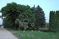 Bamblett Cemetery in Boone County, Illinois