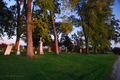 Forest Hill Cemetery in Boone County, Illinois