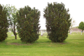 Elmwood Cemetery in Champaign County, Illinois