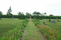 Saint Boniface Cemetery in Champaign County, Illinois