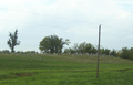 Bethel Baptist Cemetery in Christian County, Illinois