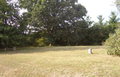 Hinckle Cemetery in Christian County, Illinois