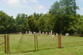 Lutheran Cemetery in Christian County, Illinois