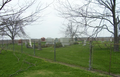 Mount Zion Cemetery in Christian County, Illinois
