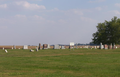 Stafford Cemetery in Christian County, Illinois