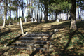 Mackey Cemetery in Clark County, Illinois