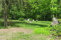 Lafler Cemetery in Coles County, Illinois