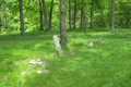 Allemang Cemetery in Coles County, Illinois