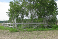 Olmstead Cemetery in Coles County, Illinois