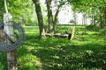 Wells Cemetery in Coles County, Illinois