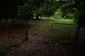 Knoch Cemetery in Coles County, Illinois