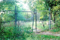 Bachelor's Grove Cemetery in Cook County, Illinois