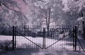 Cady Cemetery in Cook County, Illinois