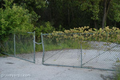 Cook County Cemetery for the Indigent in Cook County, Illinois