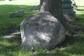 Saint Anne Catholic Cemetery in Cook County, Illinois