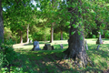 Needham Cemetery in Cumberland County, Illinois