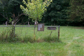 Fillmore Cemetery in Douglas County, Illinois