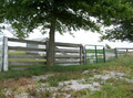 Miller Cemetery in Douglas County, Illinois