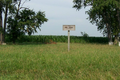 Mount Zion Cemetery in Douglas County, Illinois