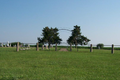 Nelson Cemetery in Douglas County, Illinois