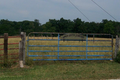 Upper Lester Cemetery in Douglas County, Illinois