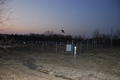 Saint Stephens Cemetery in DuPage County, Illinois