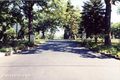 Zion Lutheran Cemetery in DuPage County, Illinois