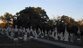 Zion Cemetery in DuPage County, Illinois