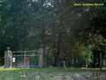 Loy Chapel Cemetery in Effingham County, Illinois