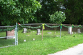 Staff Cemetery in Fayette County, Illinois