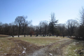 Welch Cemetery in Fayette County, Illinois