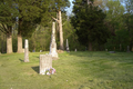 Bear Point Cemetery in Franklin County, Illinois