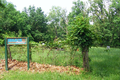 Isaacs Cemetery in Franklin County, Illinois