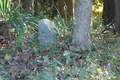 Wayman Cemetery in Franklin County, Illinois