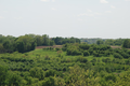 Dickson Mounds Native American Burial Grounds in Fulton County, Illinois