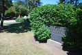 Evergreen Cemetery in Grundy County, Illinois