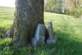 County Farm Cemetery in Hancock County, Illinois