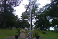 Old Texas Cemetery in Iroquois County, Illinois