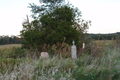 Armstrong Cemetery in Jersey County, Illinois