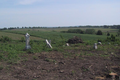 Ebenezer-Bell Cemetery in Jo Daviess County, Illinois