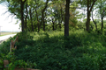 Burlington Cemetery in Kane County, Illinois